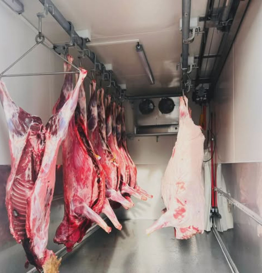 Mit unserem Kühlanhänger können wir Wild schnell runterkühlen, sauber transportieren und lagern