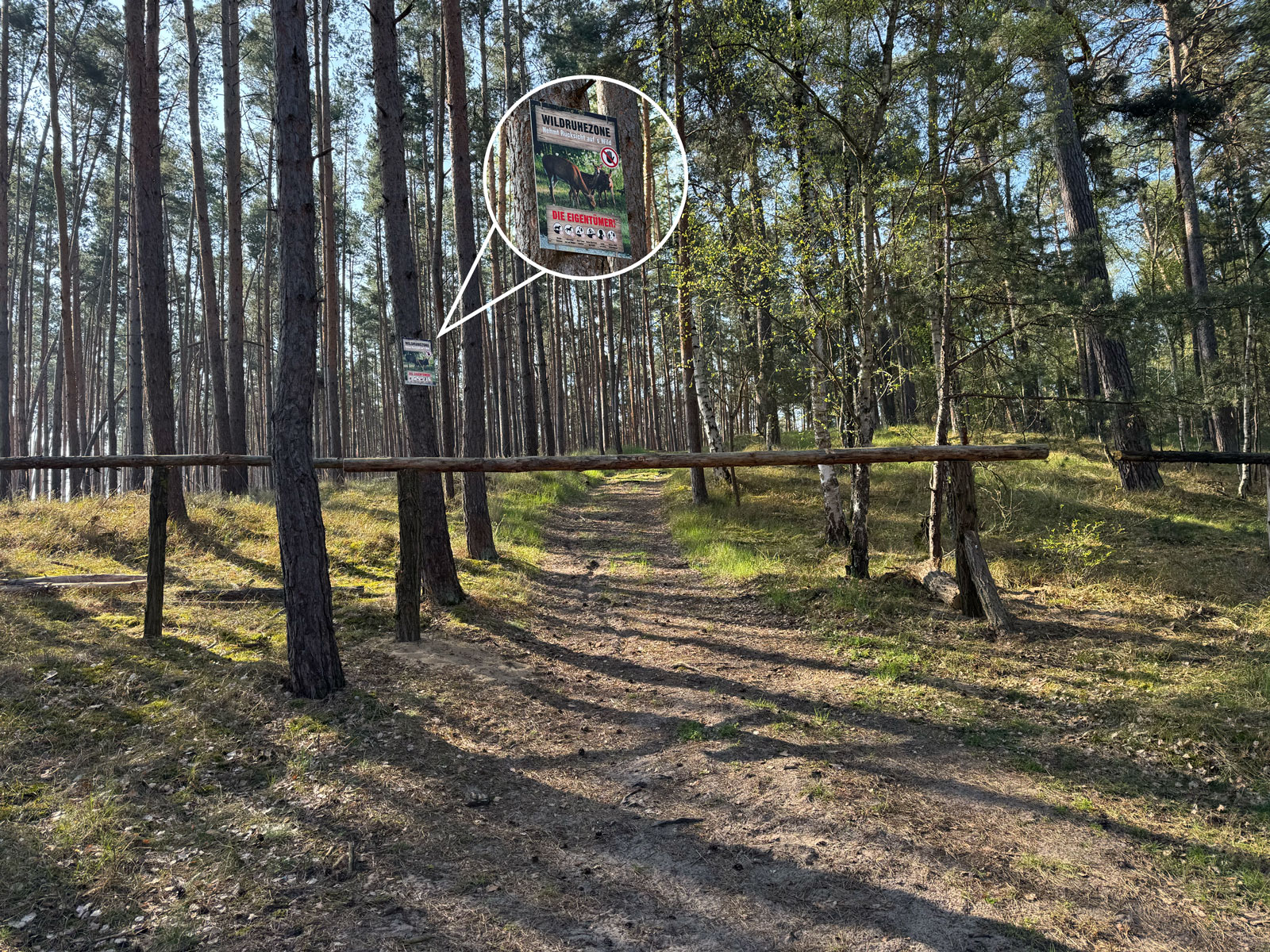 Begrenzung Wildruhezone mit Hinweisschild