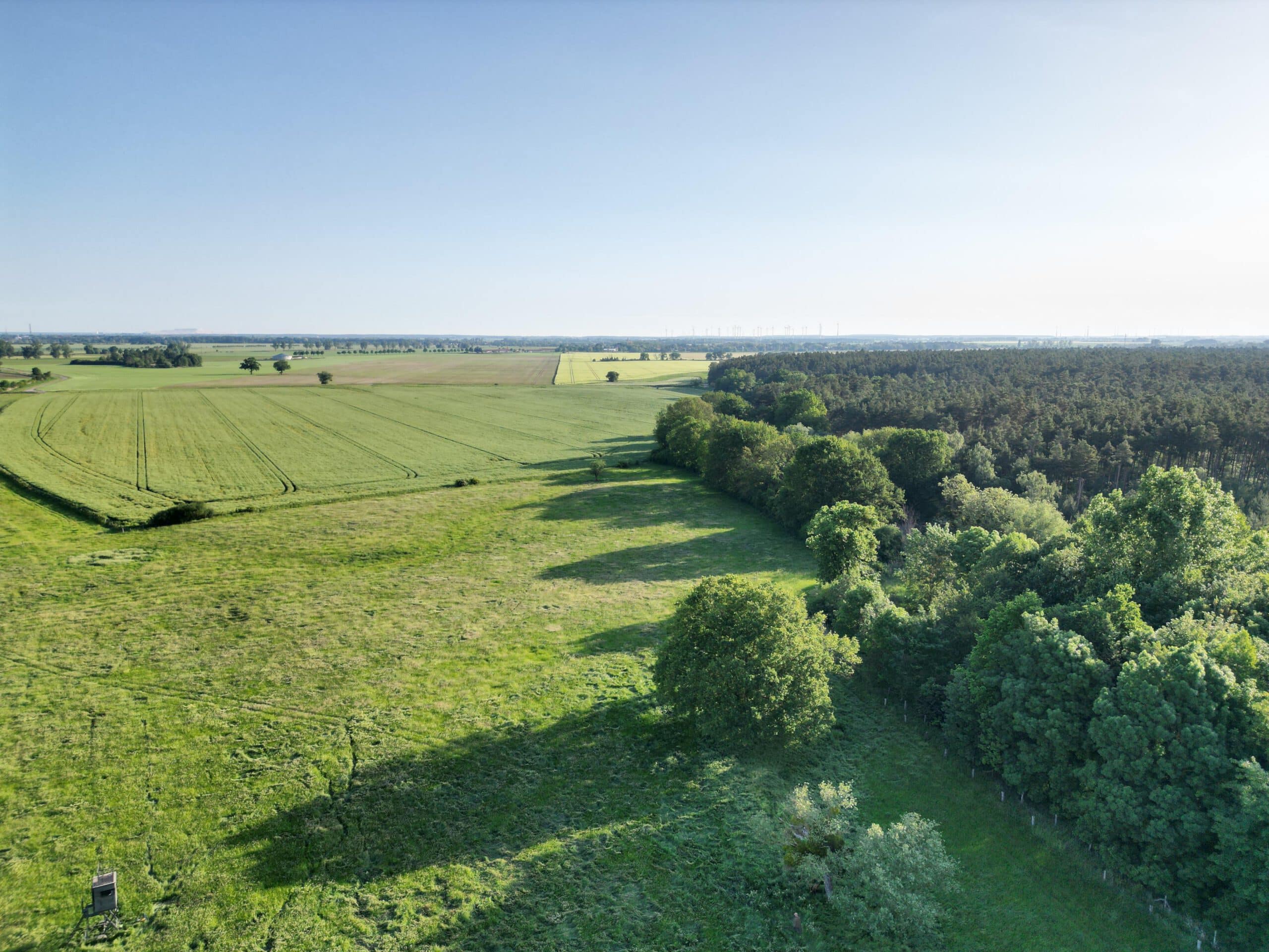 Wiesen, Felder und Wälder. Blick von der Klusbrücke Richtung Menz.